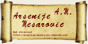 Arsenije Mesarović vizit kartica